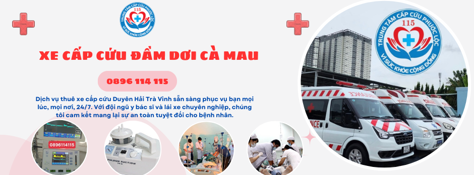 Thuê xe cấp cứu huyện Đầm Dơi,Cà Mau