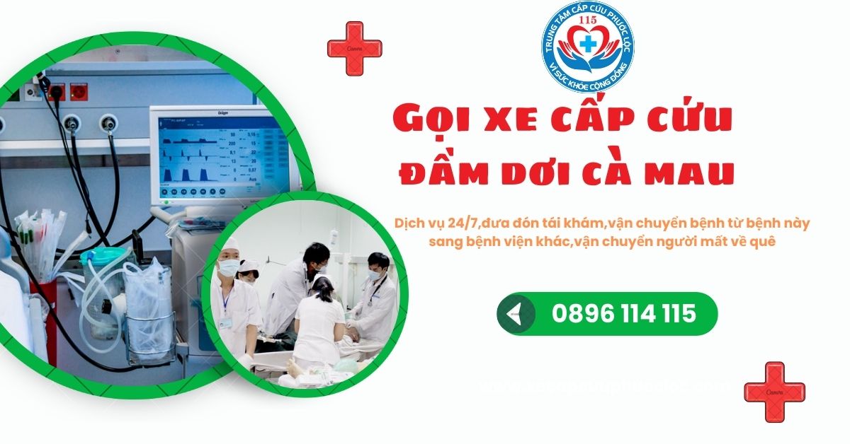 Thuê xe cấp cứu huyện Đầm Dơi,Cà Mau hotline 0896114115