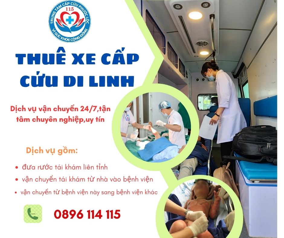 Dịch vụ xe cấp cứu Phước Lộc tại Di Linh hotline 0896114115